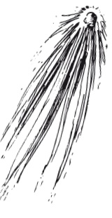 Иллюстрация к книге — Делай космос! [i_196.jpg]