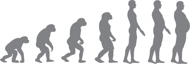 Иллюстрация к книге — Кето-навигатор [i_033.jpg]