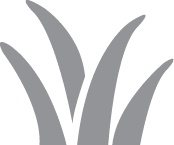 Иллюстрация к книге — Кето-навигатор [i_037.jpg]