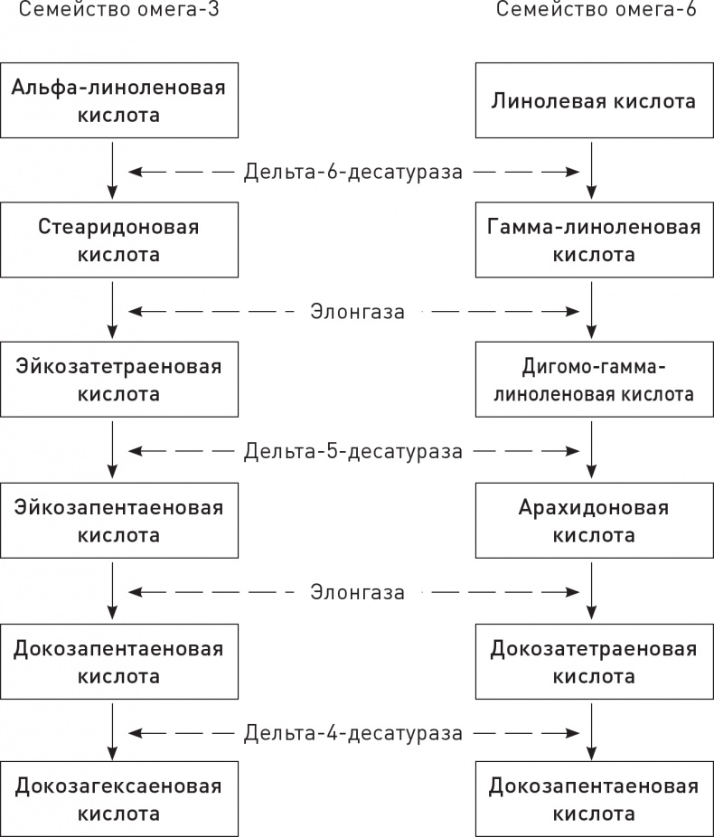 Иллюстрация к книге — Кето-навигатор [i_092.jpg]