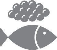 Иллюстрация к книге — Кето-навигатор [i_101.jpg]