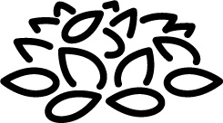 Иллюстрация к книге — Кето-навигатор [i_112.jpg]