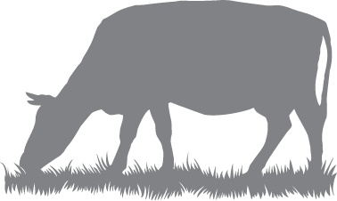 Иллюстрация к книге — Кето-навигатор [i_113.jpg]