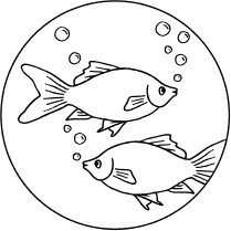 Иллюстрация к книге — Легкая уборка по методу Флай-леди: свобода от хаоса [i_192.jpg]