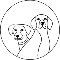 Иллюстрация к книге — Легкая уборка по методу Флай-леди: свобода от хаоса [i_194.jpg]