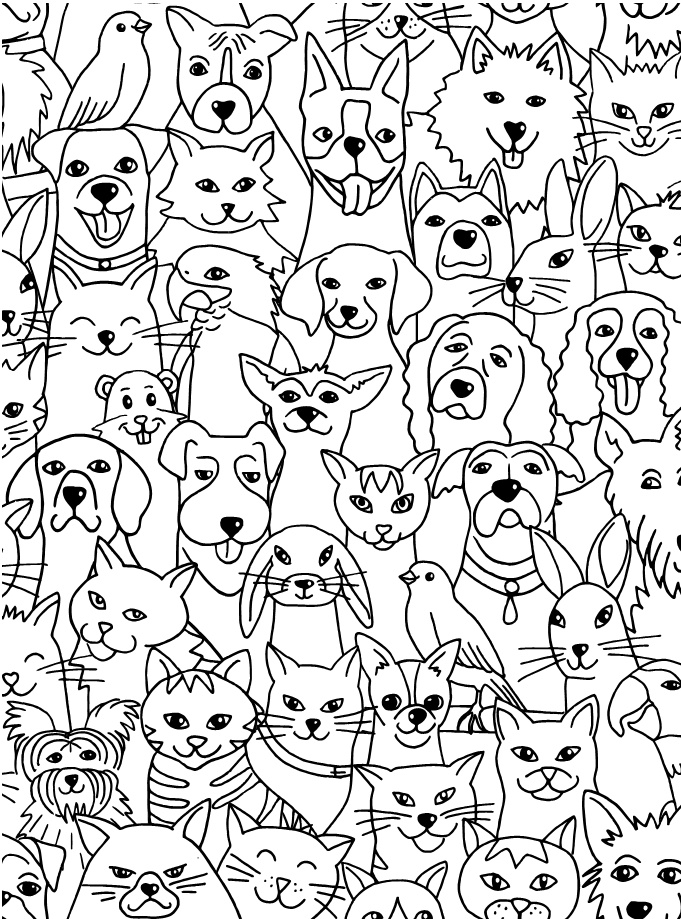 Иллюстрация к книге — Легкая уборка по методу Флай-леди: свобода от хаоса [i_196.jpg]