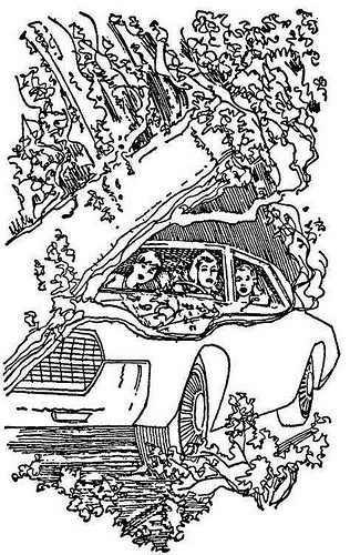 Иллюстрация к книге — Тайна витых свечей [_1.jpg]