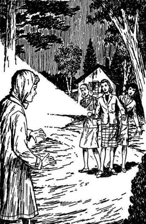 Иллюстрация к книге — Тайна сломанного медальона [i_001.jpg]