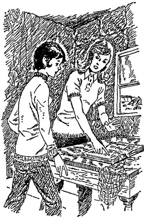 Иллюстрация к книге — Тайна звонящего колокола [doc2fb_image_02000006.jpg]