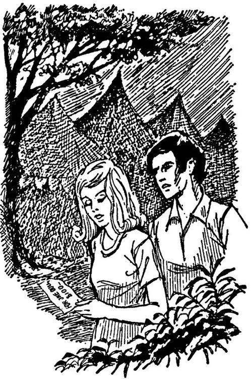 Иллюстрация к книге — Разгадка в старом альбоме [_00009.jpg]