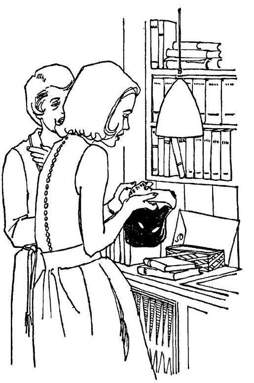 Иллюстрация к книге — Дело бархатной маски [doc2fb_image_03000005.jpg]