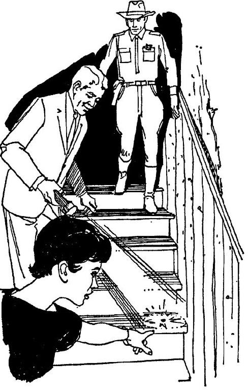 Иллюстрация к книге — Дело бархатной маски [doc2fb_image_0300000f.jpg]