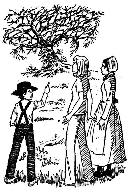 Иллюстрация к книге — Символ ведьминого древа [keen_9781101077344_oeb_007_r1.jpg]