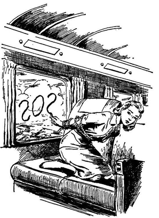 Иллюстрация к книге — Тайна огненного дракона [_6.jpg]