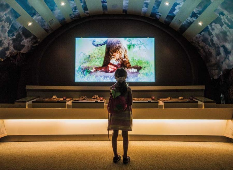 Иллюстрация к книге — Фотография. Искусство обмана [i_053.jpg]