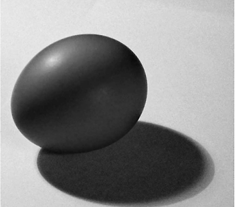 Иллюстрация к книге — Фотография. Искусство обмана [i_058.jpg]