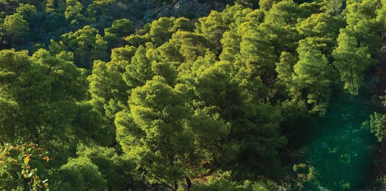 Иллюстрация к книге — Фотография. Искусство обмана [i_059.jpg]