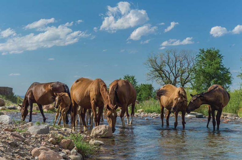 Иллюстрация к книге — Фотография. Искусство обмана [i_071.jpg]