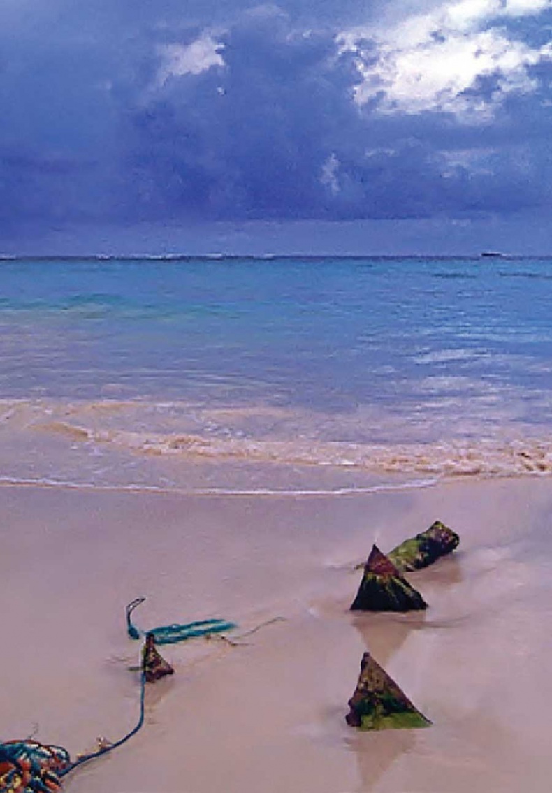 Иллюстрация к книге — Фотография. Искусство обмана [i_094.jpg]