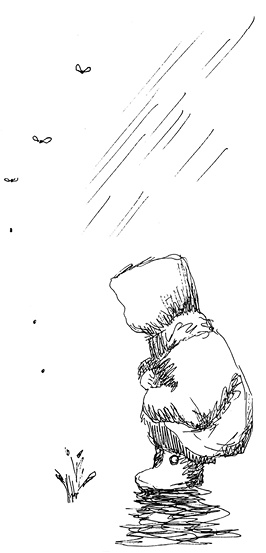 Иллюстрация к книге — Контур человека: мир под столом [i_018.jpg]