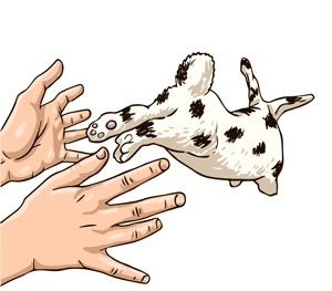 Иллюстрация к книге — Тайм-менеджмент для школьника. Как Федя Забывакин учился временем управлять [i_018.jpg]