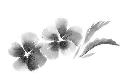 Иллюстрация к книге — Глубина моря; Открытое море [i_007.jpg]