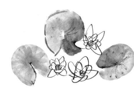 Иллюстрация к книге — Глубина моря; Открытое море [i_016.jpg]