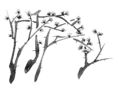 Иллюстрация к книге — Глубина моря; Открытое море [i_017.jpg]