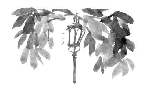 Иллюстрация к книге — Глубина моря; Открытое море [i_018.jpg]