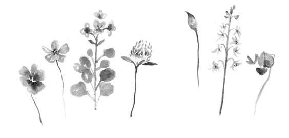 Иллюстрация к книге — Глубина моря; Открытое море [i_022.jpg]