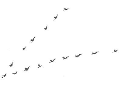 Иллюстрация к книге — Глубина моря; Открытое море [i_038.jpg]