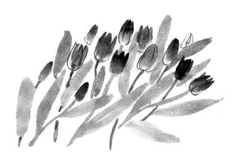 Иллюстрация к книге — Глубина моря; Открытое море [i_046.jpg]