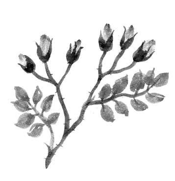 Иллюстрация к книге — Глубина моря; Открытое море [i_053.jpg]