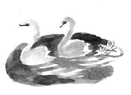 Иллюстрация к книге — Глубина моря; Открытое море [i_055.jpg]