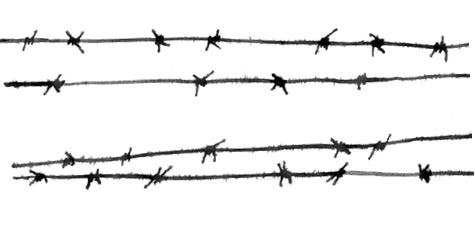 Иллюстрация к книге — Глубина моря; Открытое море [i_061.jpg]