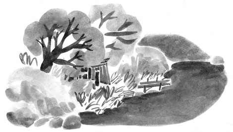 Иллюстрация к книге — Глубина моря; Открытое море [i_067.jpg]