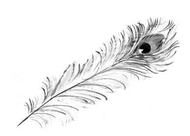 Иллюстрация к книге — Глубина моря; Открытое море [i_075.jpg]