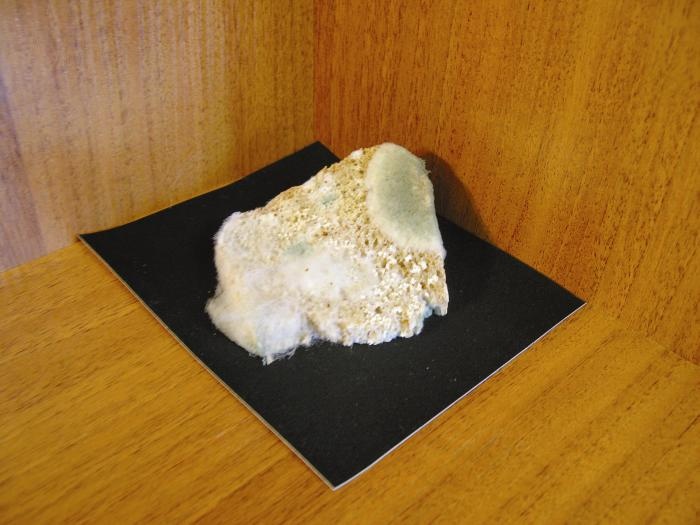 Иллюстрация к книге — кЛИБЕ. Конец иллюзии стадной безопасности [_02_magazinnyjjjakobybezdrozhzhevojj.jpg]