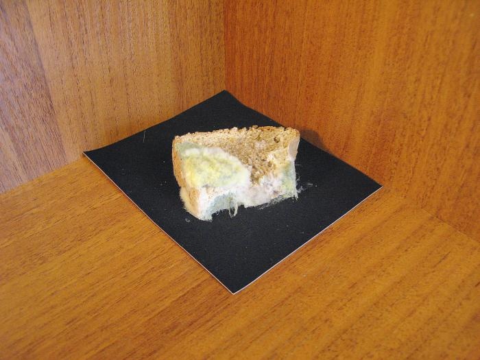 Иллюстрация к книге — кЛИБЕ. Конец иллюзии стадной безопасности [_03_domashnijjdrozhzhevojj.jpg]