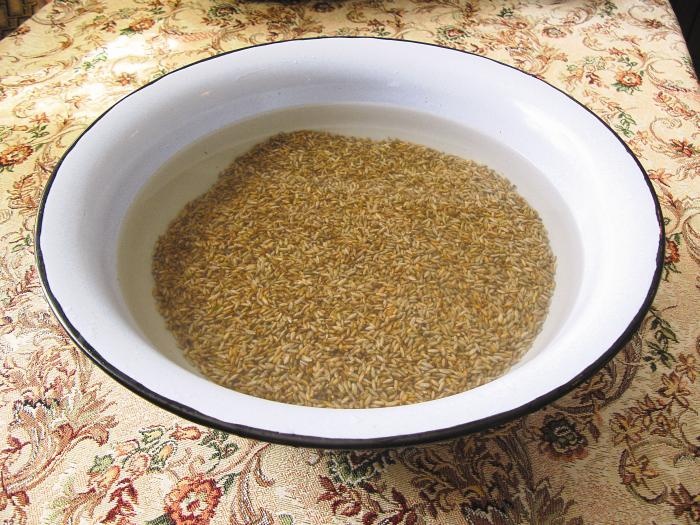 Иллюстрация к книге — кЛИБЕ. Конец иллюзии стадной безопасности [_06_zernozamochit.jpg]