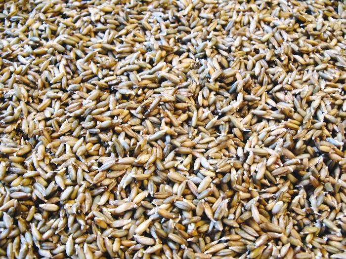 Иллюстрация к книге — кЛИБЕ. Конец иллюзии стадной безопасности [_09_prorostkirzhi.jpg]