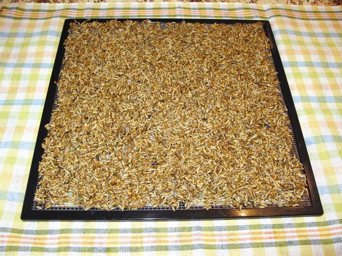 Иллюстрация к книге — кЛИБЕ. Конец иллюзии стадной безопасности [_10_razlozhitnapoddony.jpg]