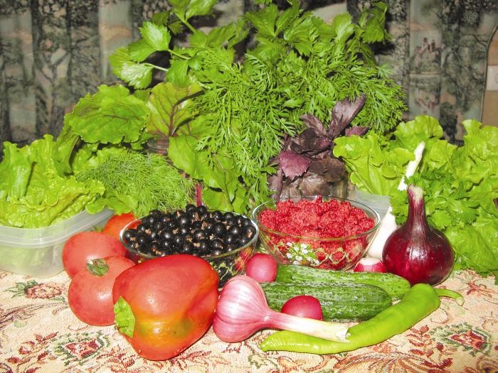 Иллюстрация к книге — кЛИБЕ. Конец иллюзии стадной безопасности [bezpodpisi03.jpg]