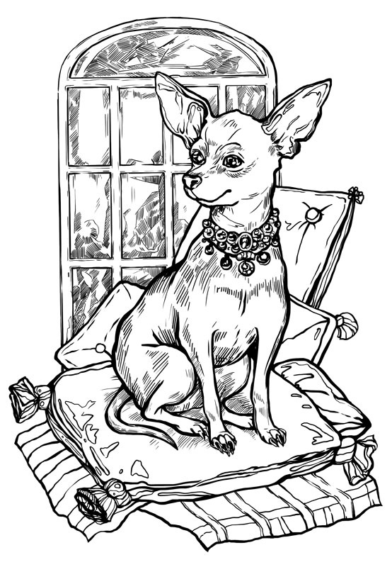 Иллюстрация к книге — Пояс Ориона [i_005.jpg]