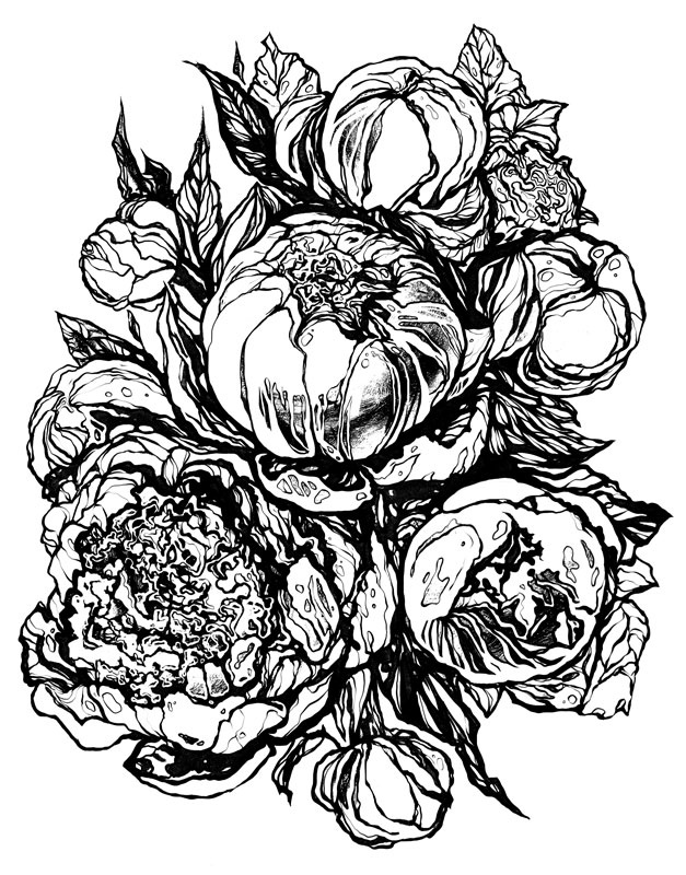 Иллюстрация к книге — Пояс Ориона [i_006.jpg]