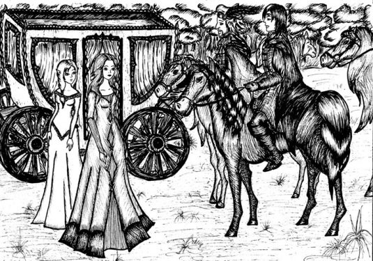 Иллюстрация к книге — Бабочка-оборотень и Чёрный Герцог [_1.jpg]