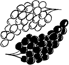 Иллюстрация к книге — Вино по бокалам [i_005.jpg]