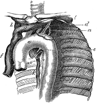 Иллюстрация к книге — Не жилец! История медицины в увлекательных заметках [i_014.jpg]
