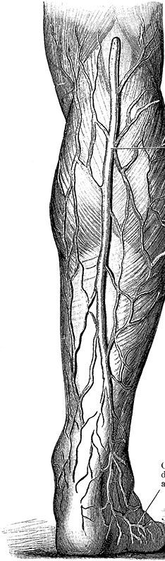 Иллюстрация к книге — Не жилец! История медицины в увлекательных заметках [i_019.jpg]