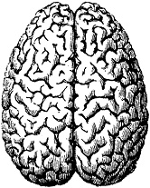 Иллюстрация к книге — Не жилец! История медицины в увлекательных заметках [i_027.jpg]